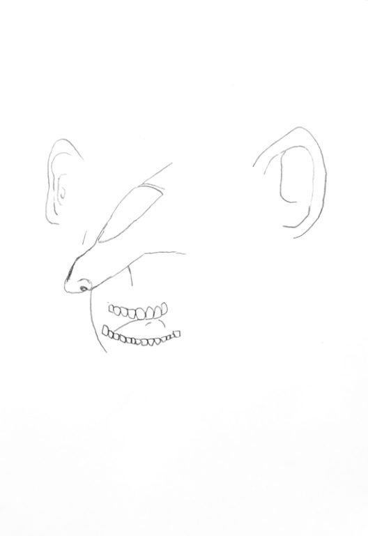 Eduardo Navarro: Drawings (Fig. 719)