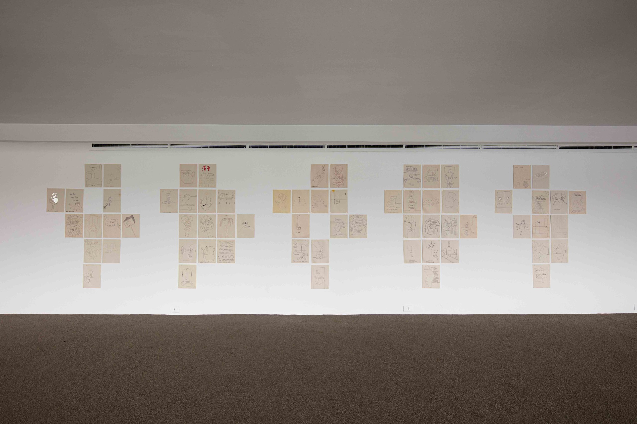 Eduardo Navarro: in collaboration with the sun (Fig. 8)