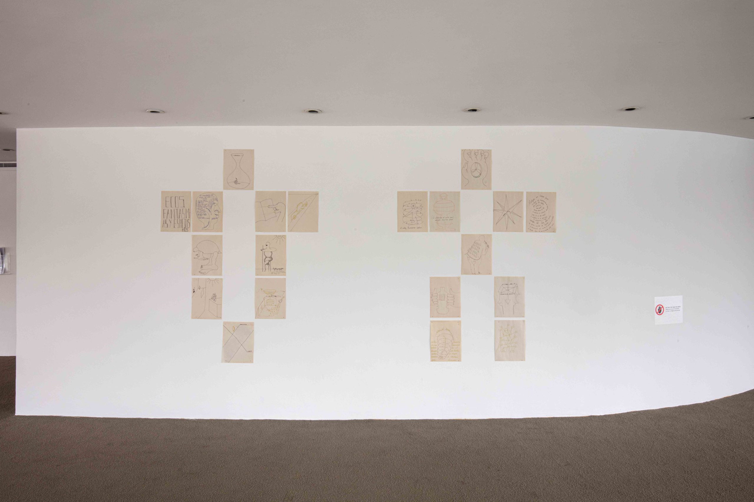 Eduardo Navarro: in collaboration with the sun (Fig. 6)