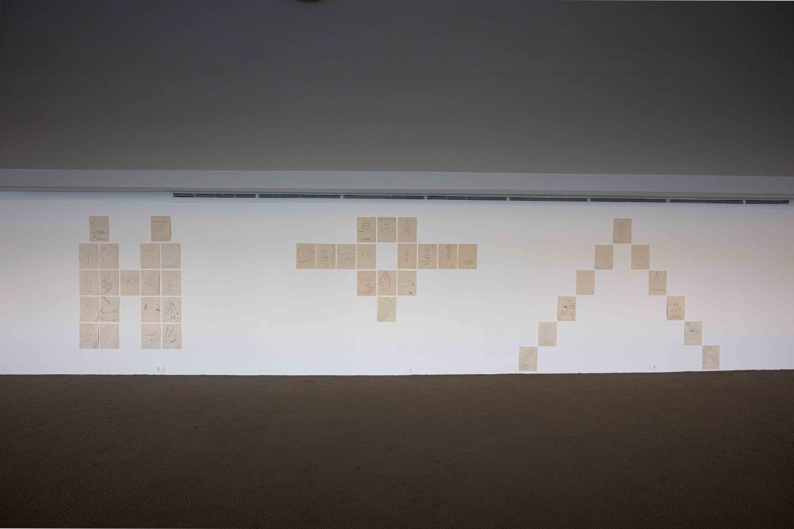 Eduardo Navarro: in collaboration with the sun (Fig. 14)