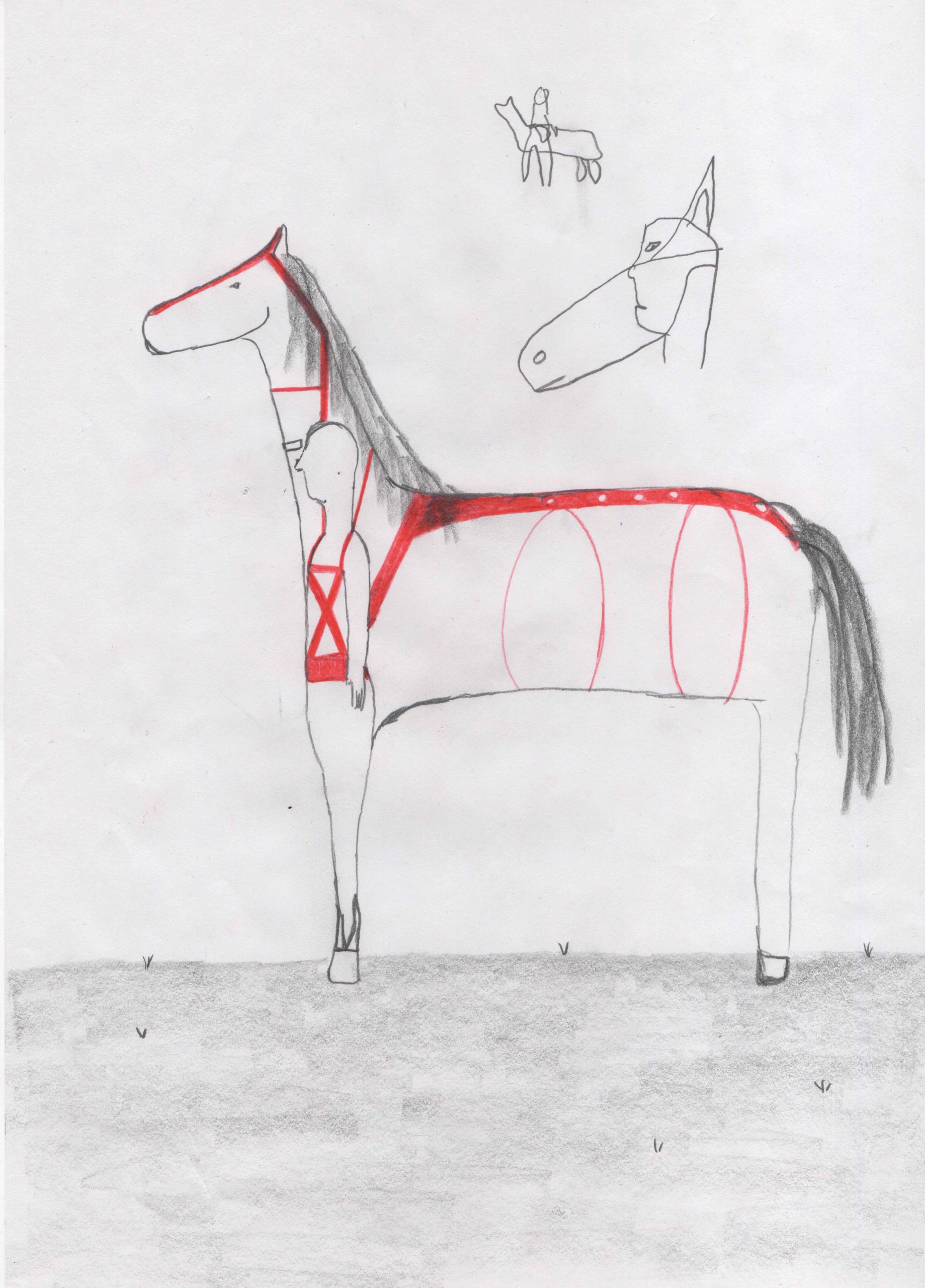 Eduardo Navarro: horses don’t lie (Fig. 14)