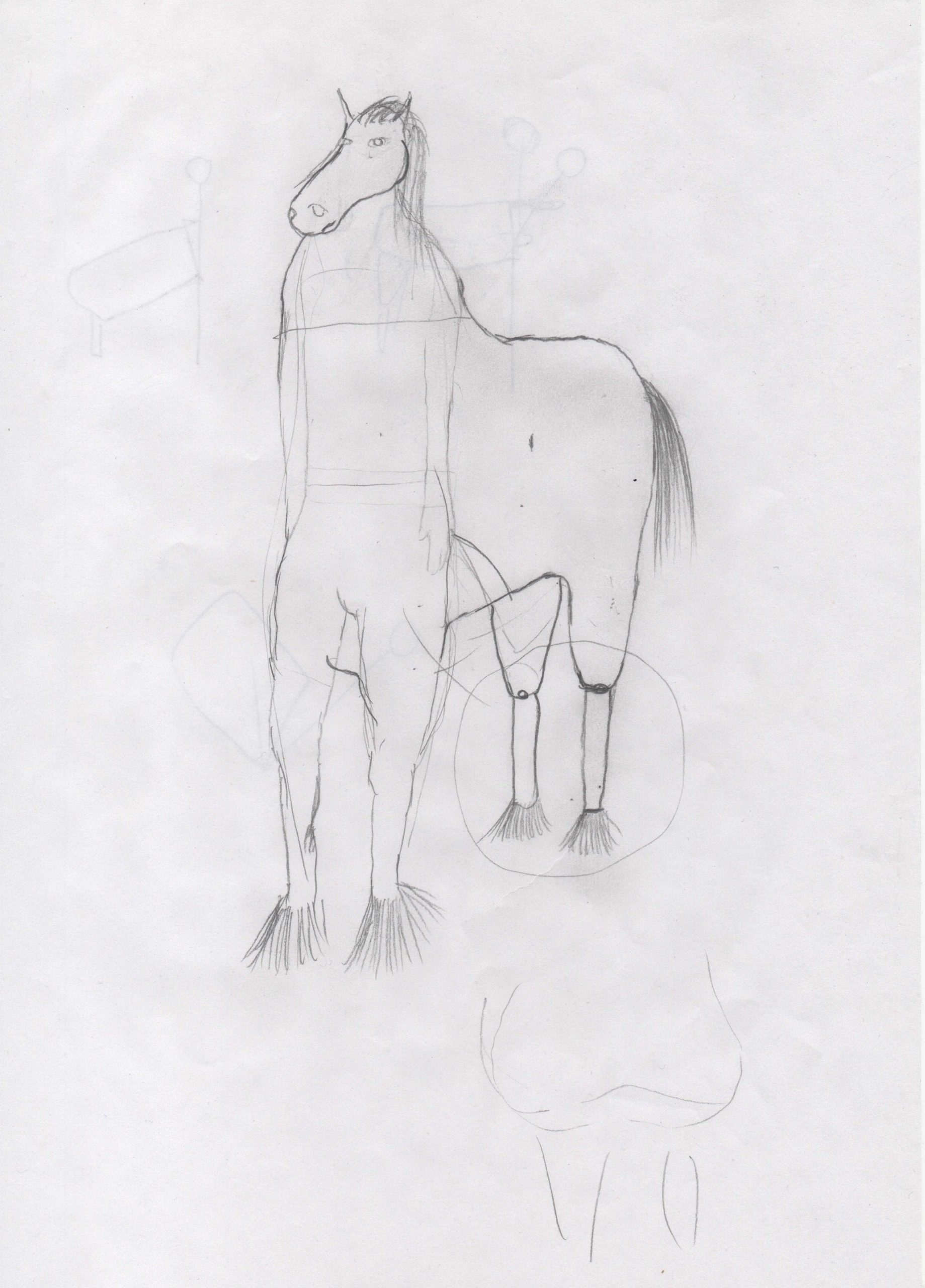 Eduardo Navarro: horses don’t lie (Fig. 16)
