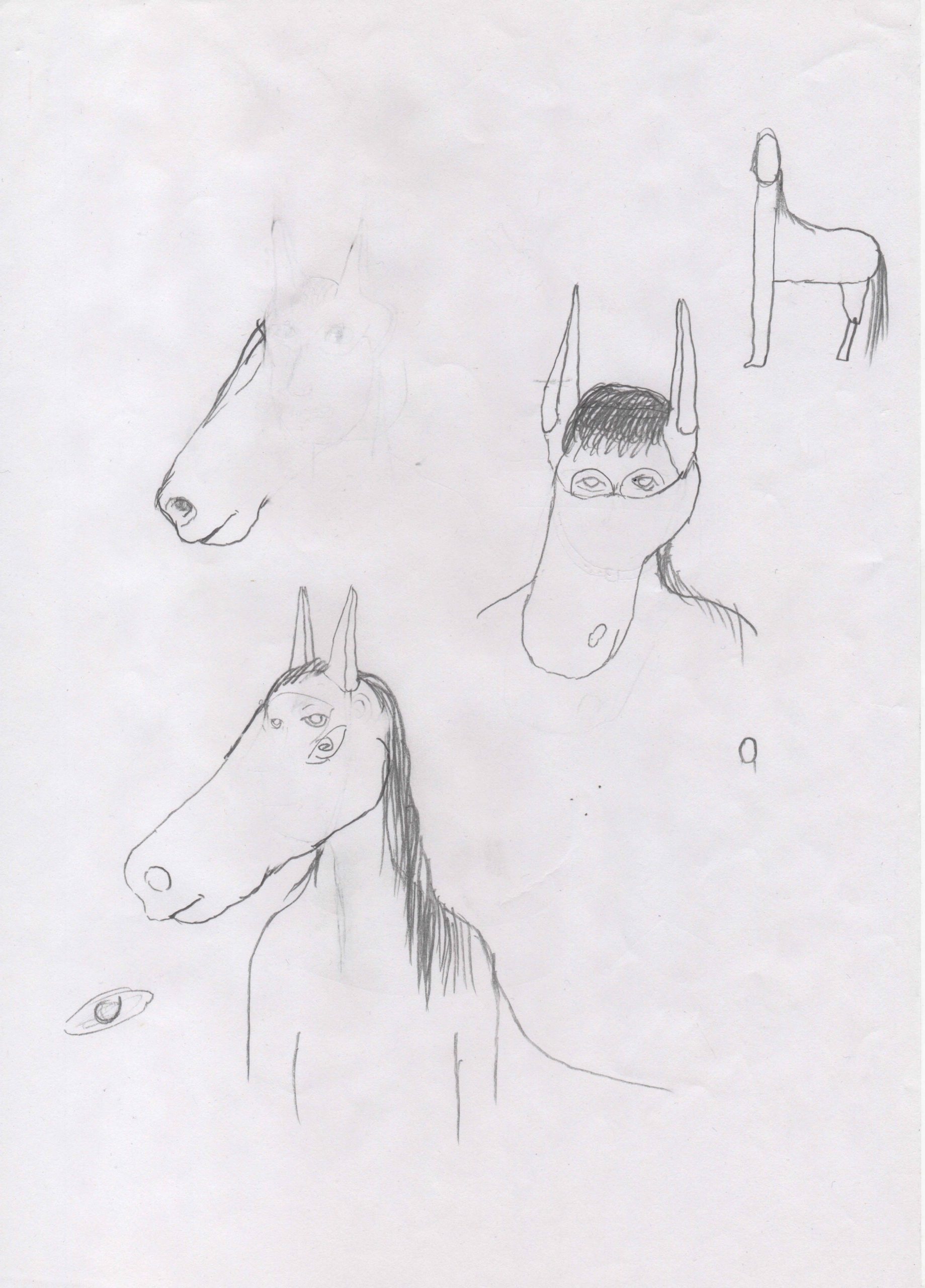 Eduardo Navarro: horses don’t lie (Fig. 15)