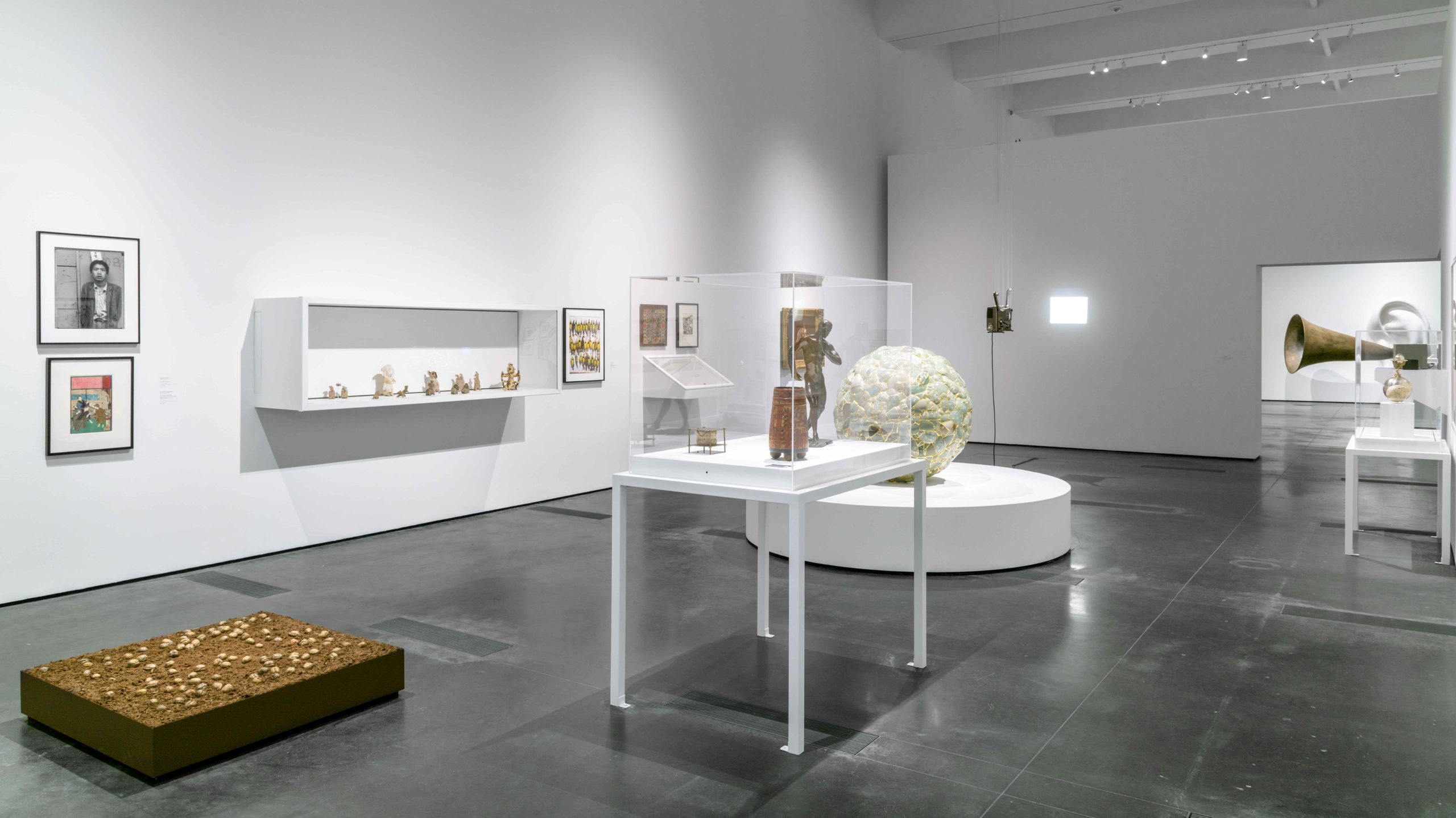 Eduardo Navarro: letters to earth (Fig. 8)