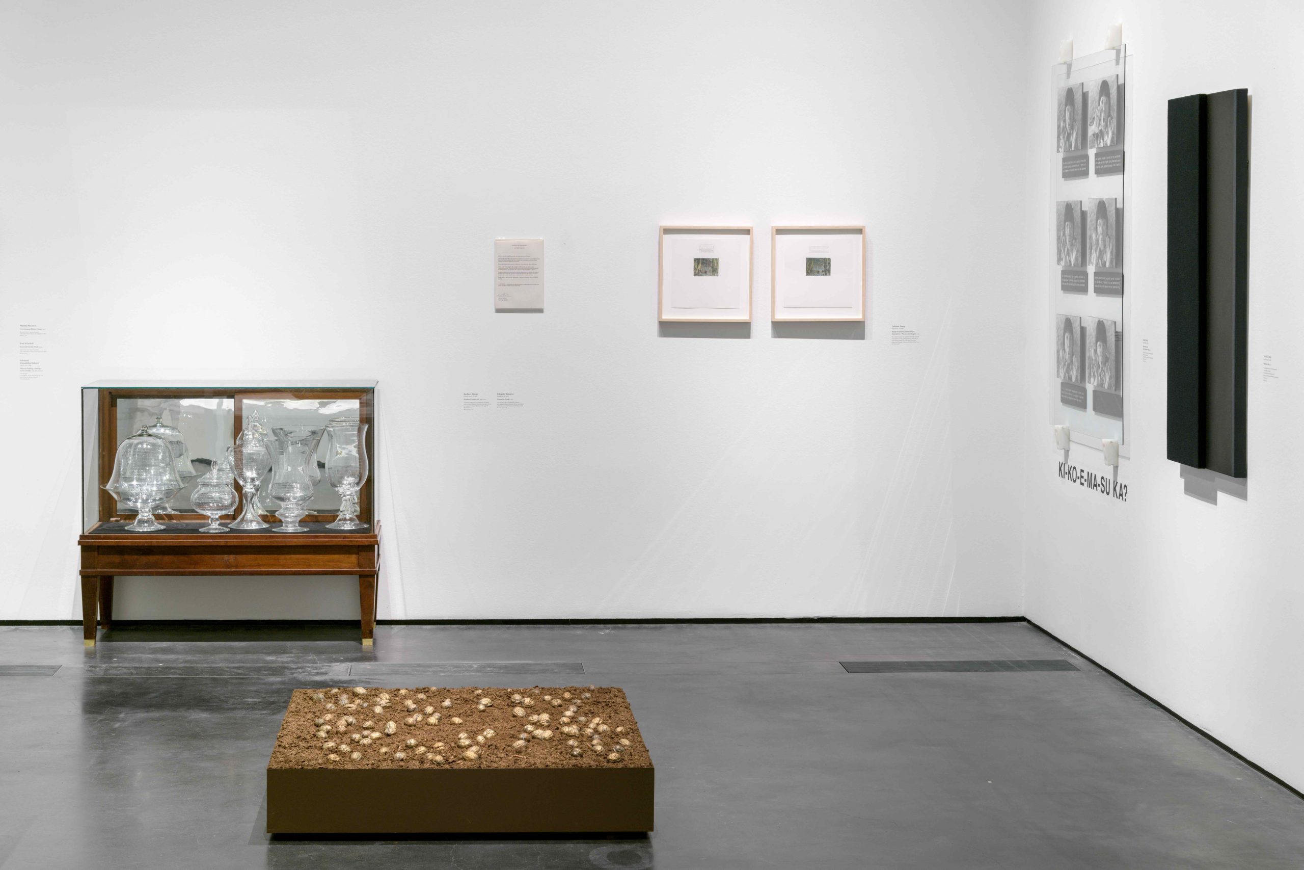 Eduardo Navarro: letters to earth (Fig. 6)