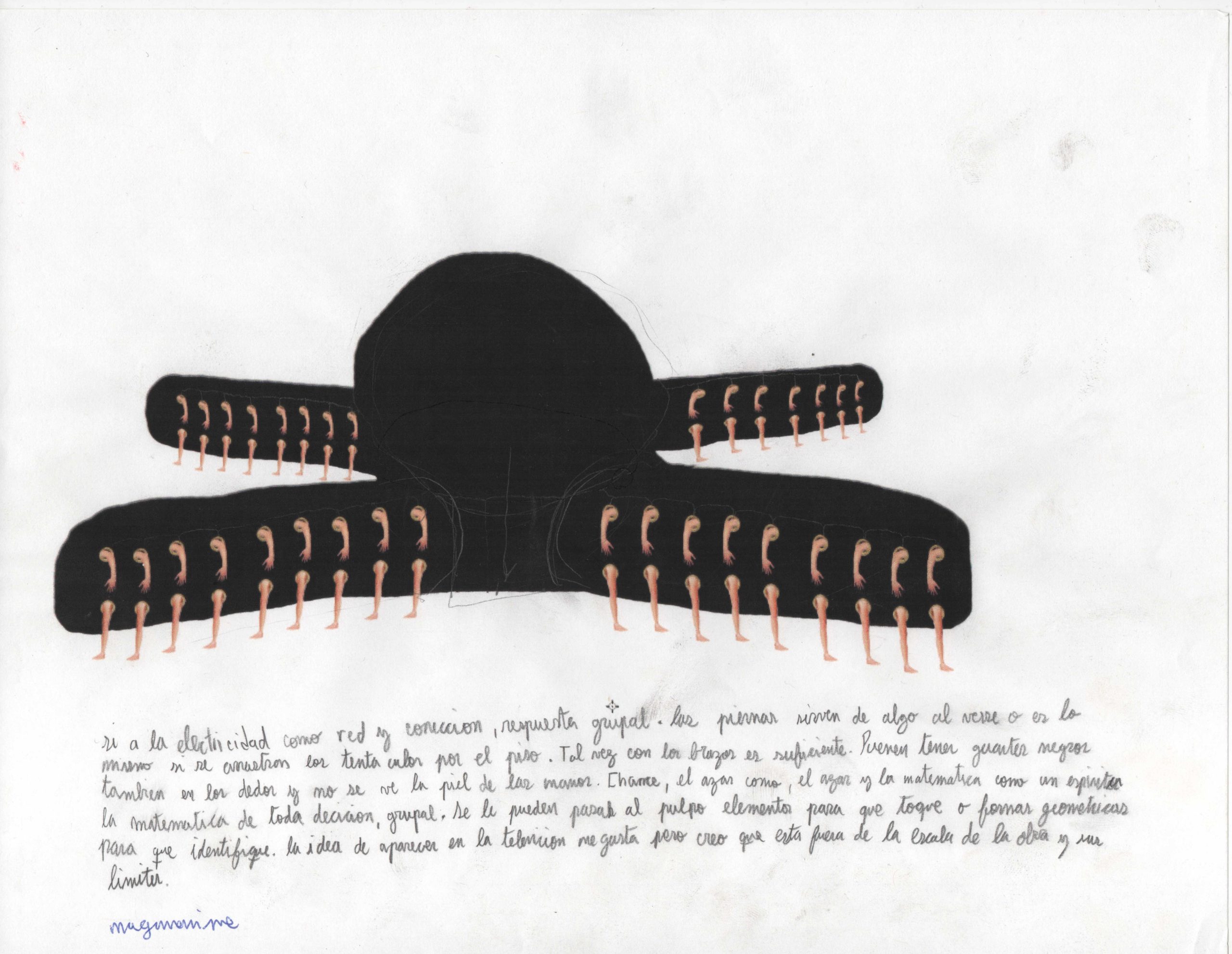 Eduardo Navarro: octopia (Fig. 29)