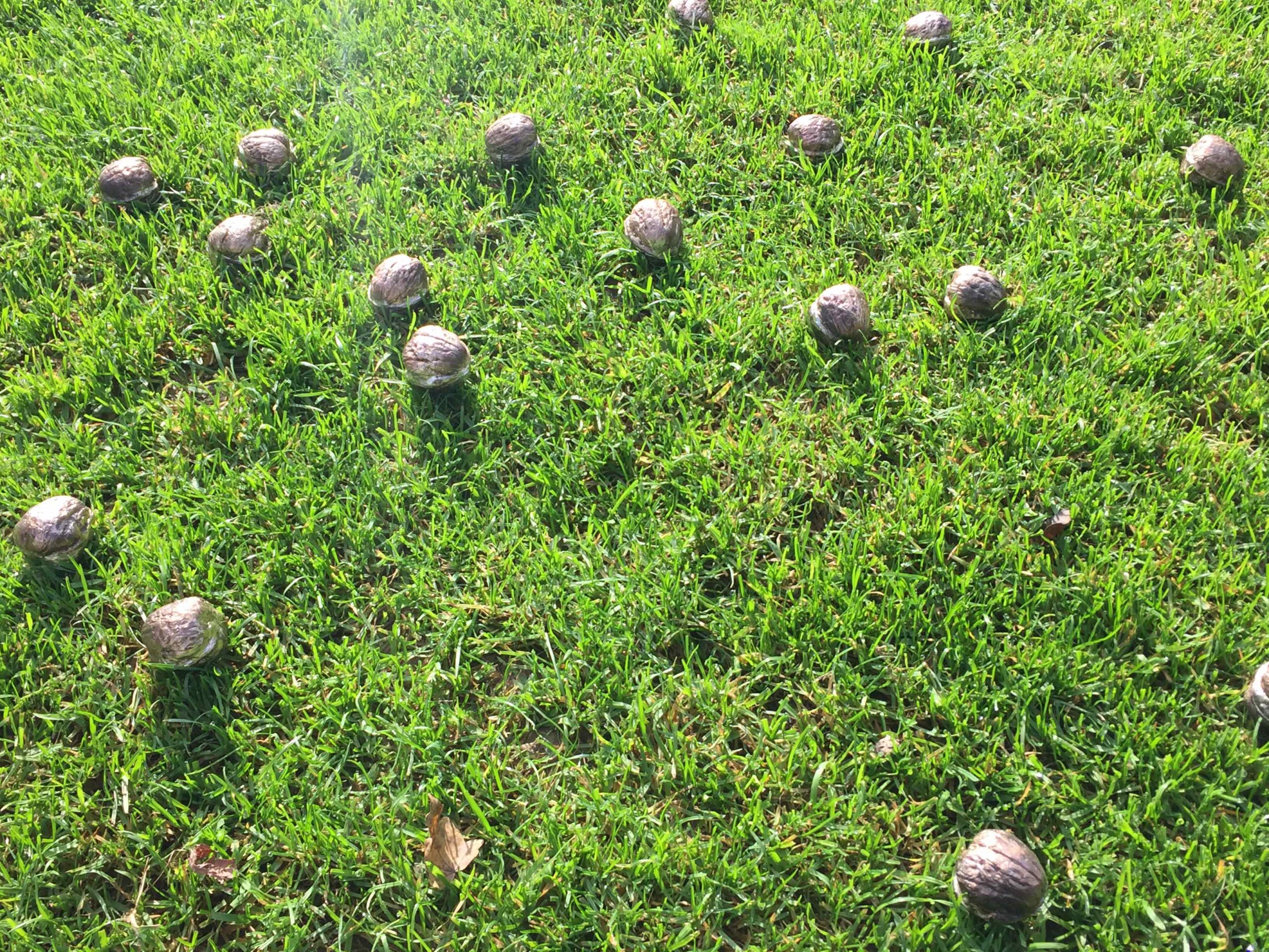 Eduardo Navarro: letters to earth (Fig. 2)