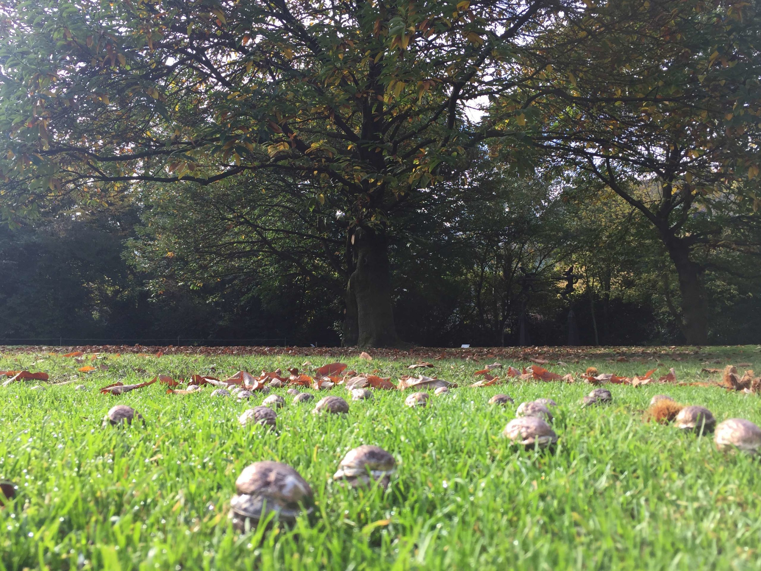 Eduardo Navarro: letters to earth (Fig. 3)