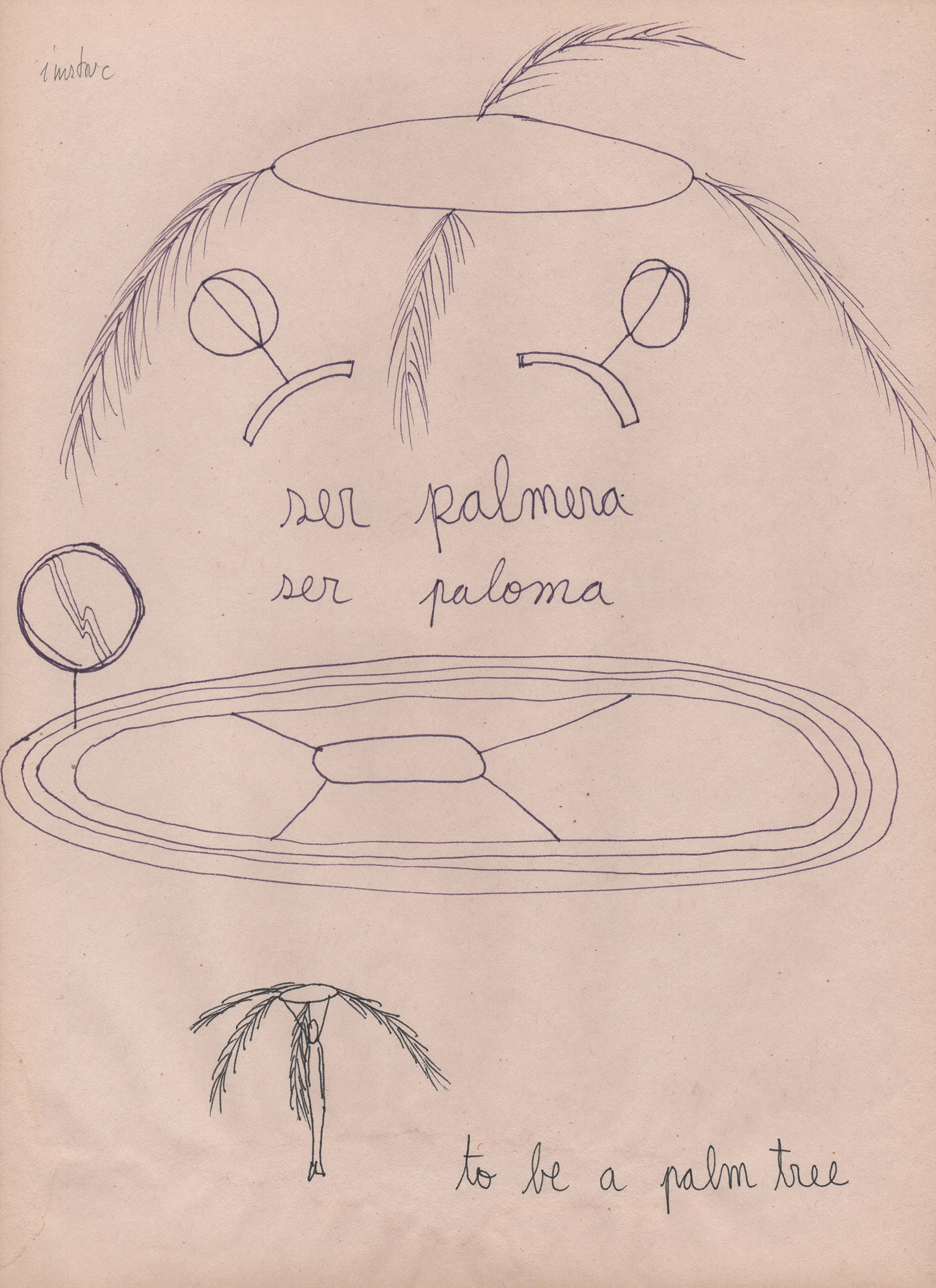 Eduardo Navarro: sound mirror (Fig. 14)