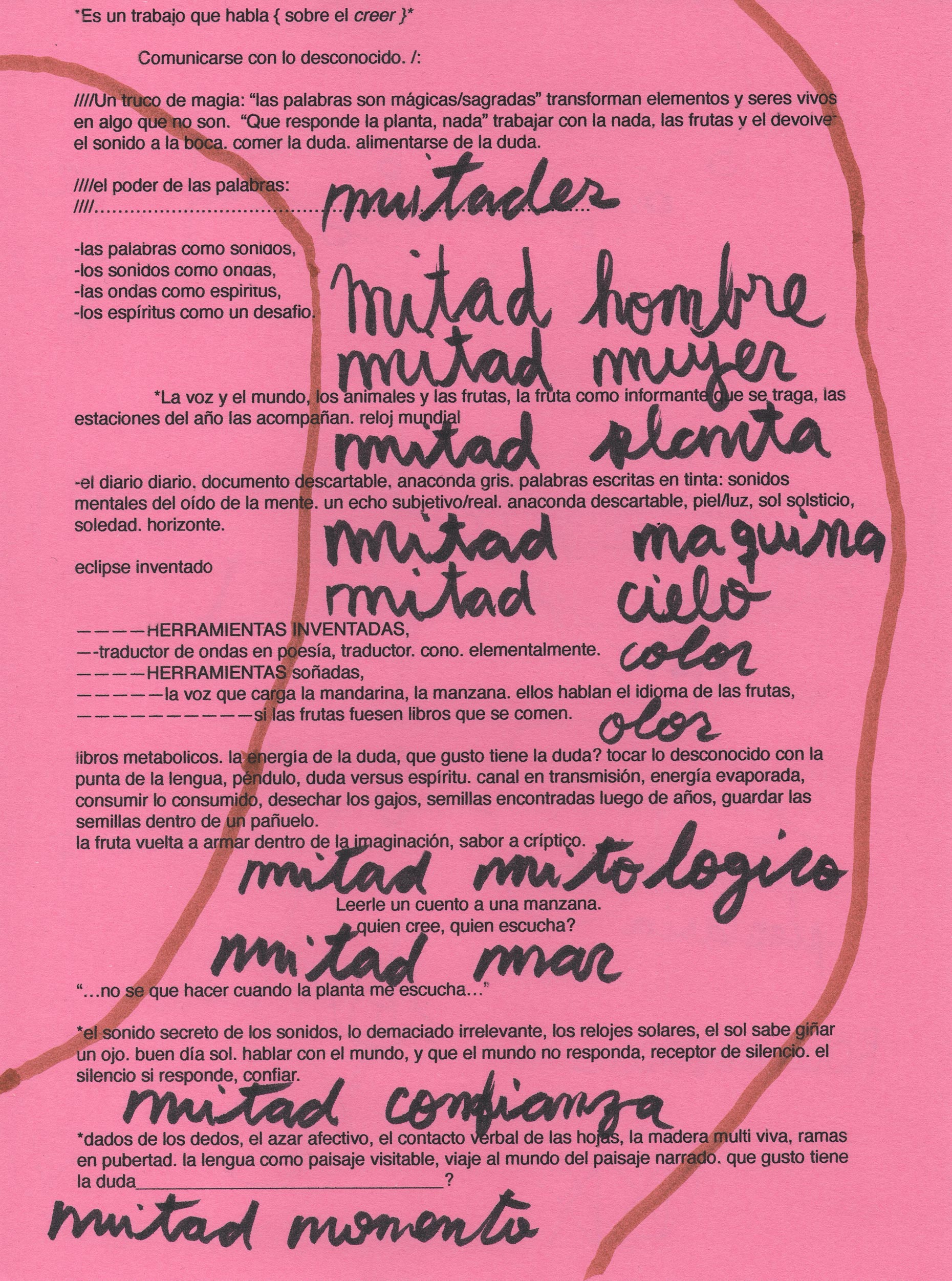 Eduardo Navarro: sound mirror (Fig. 11)