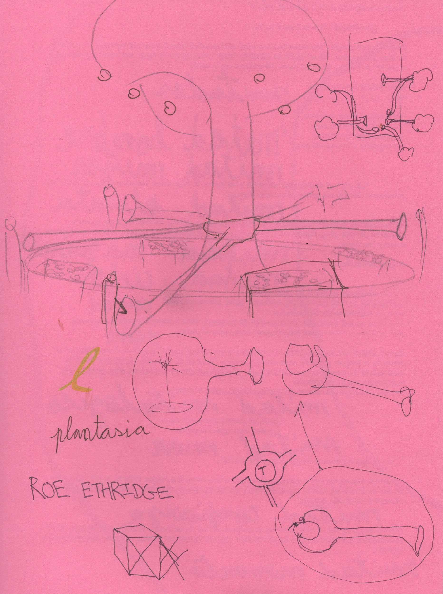 Eduardo Navarro: sound mirror (Fig. 12)