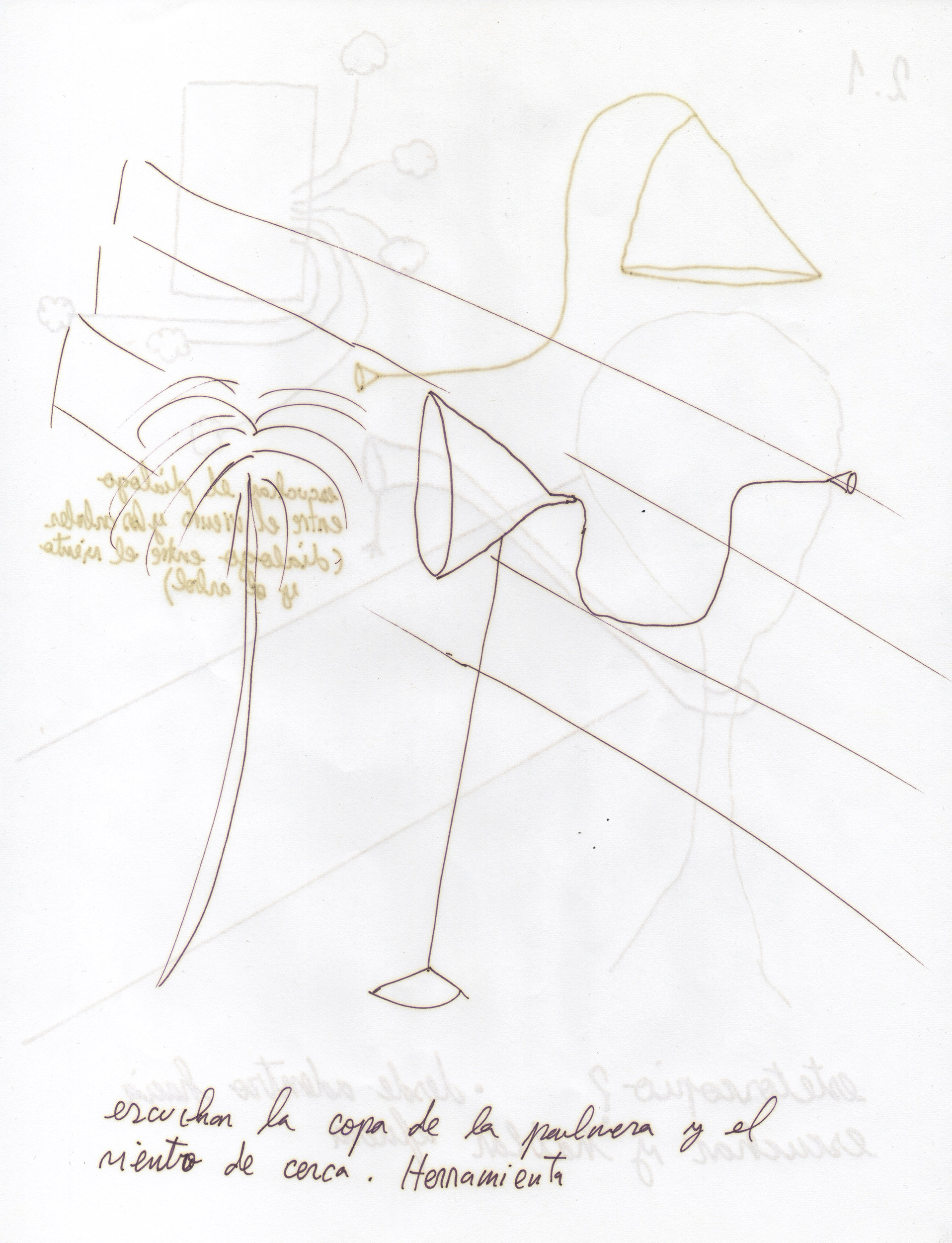 Eduardo Navarro: sound mirror (Fig. 21)