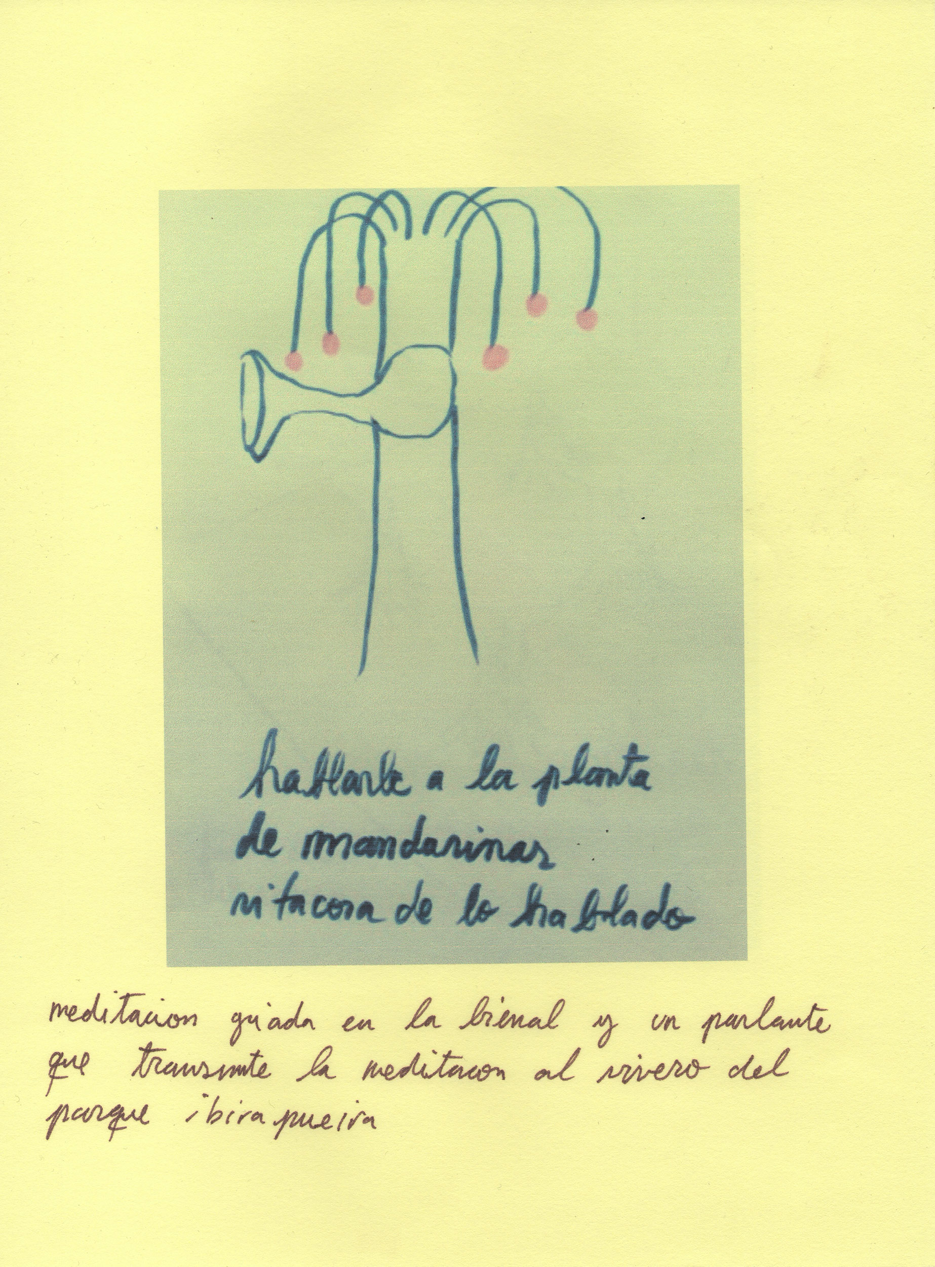 Eduardo Navarro: sound mirror (Fig. 15)