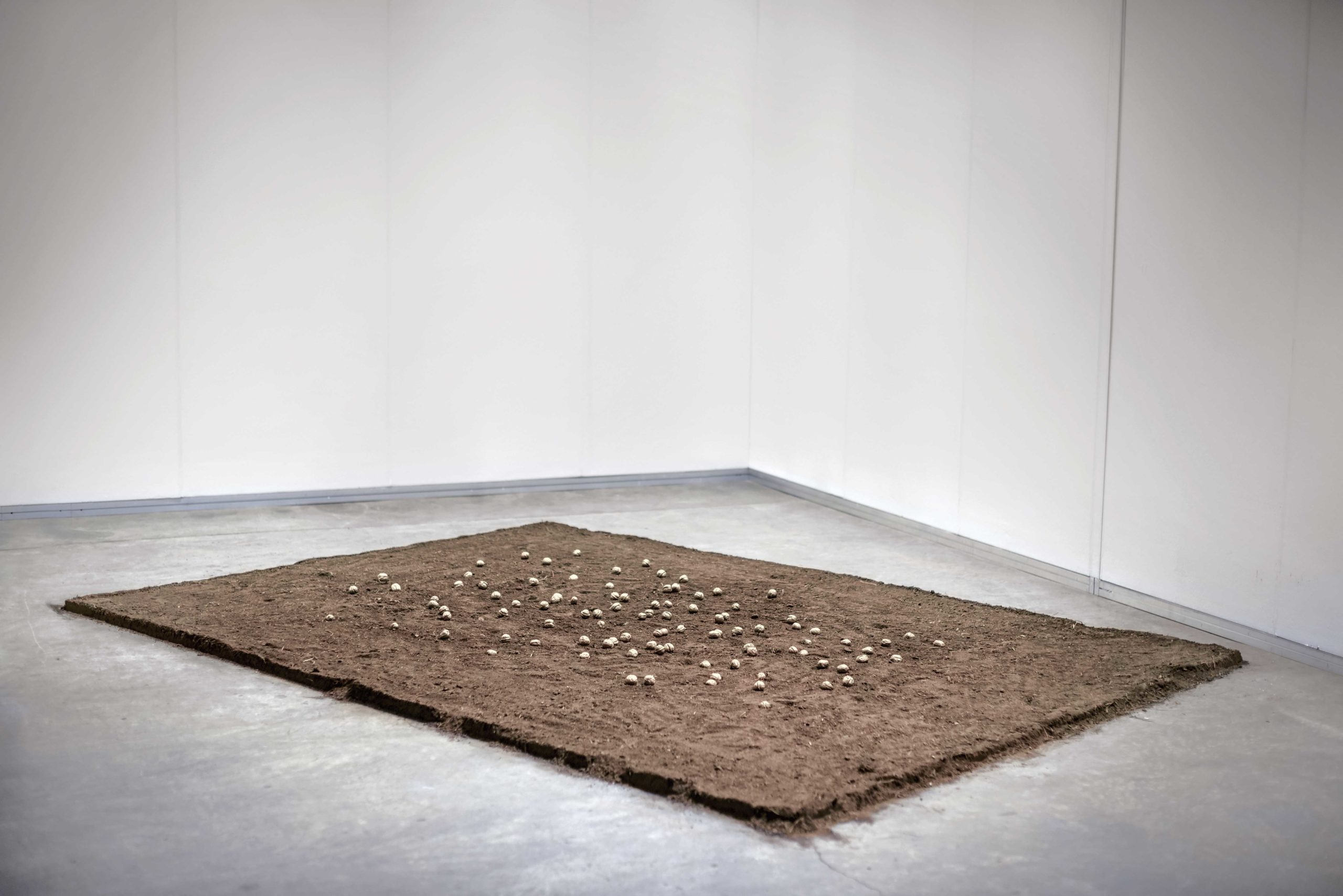 Eduardo Navarro: letters to earth (Fig. 5)