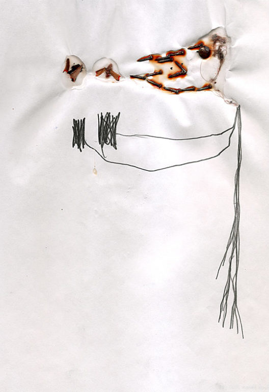 Eduardo Navarro: Drawings (Fig. 237)