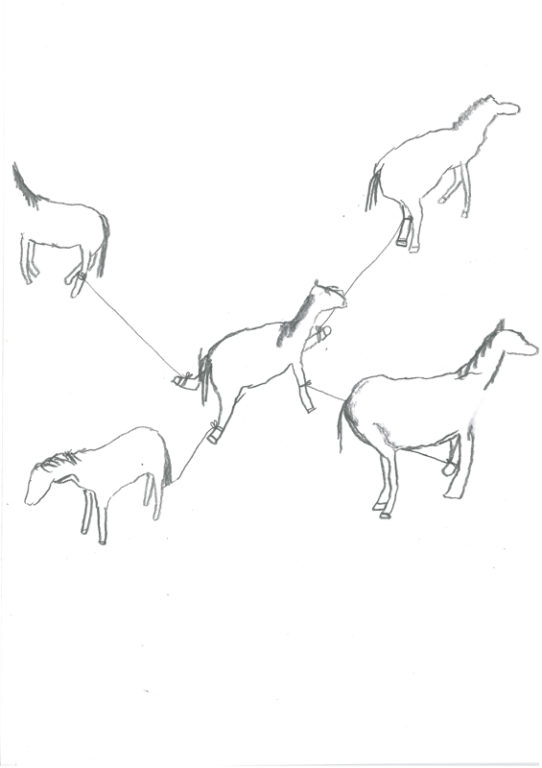 Eduardo Navarro: Drawings (Fig. 718)