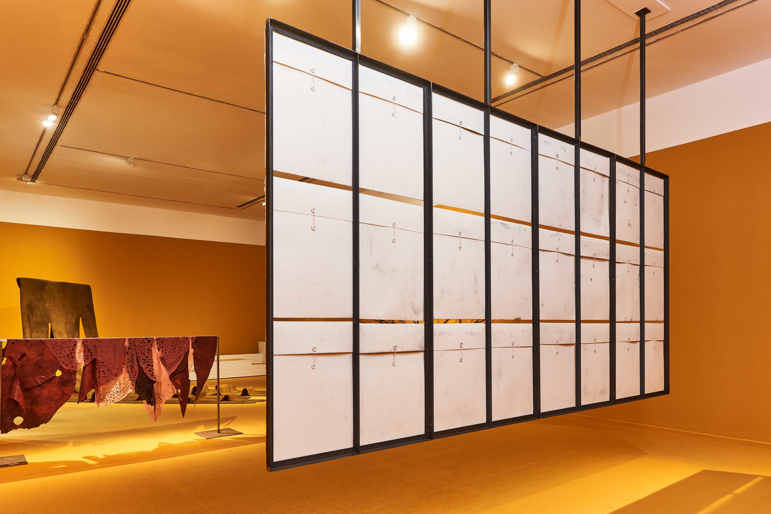 Eduardo Navarro: photosynthetics (Fig. 2)