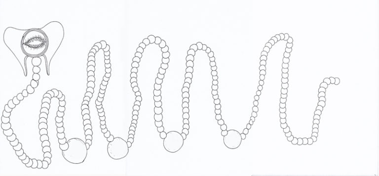 Eduardo Navarro: Drawings (Fig. 118)