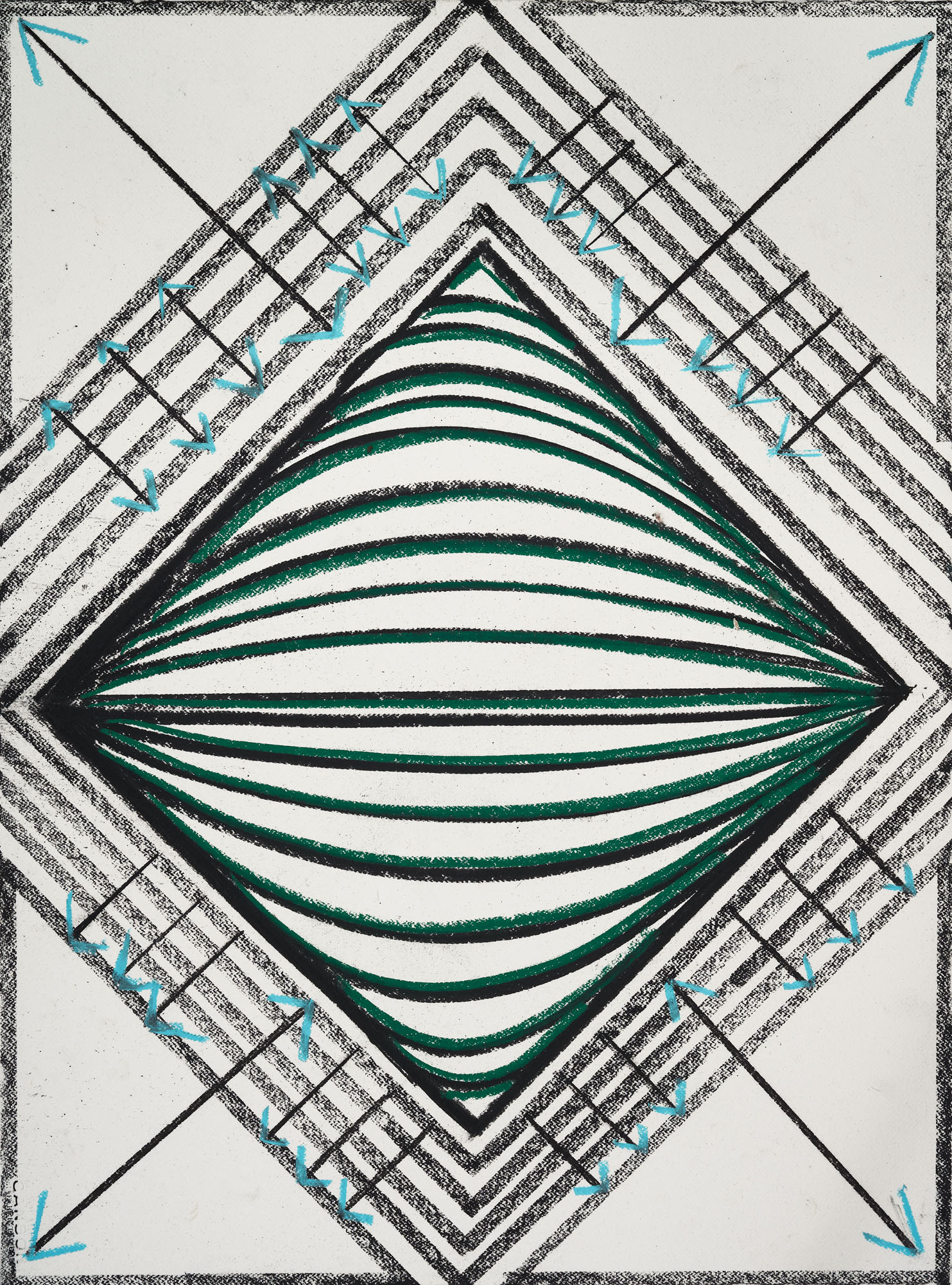 Eduardo Navarro: photosynthetics (Fig. 12)