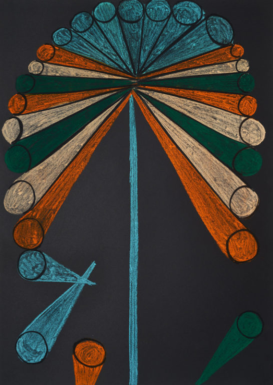 Eduardo Navarro: Drawings (Fig. 76)