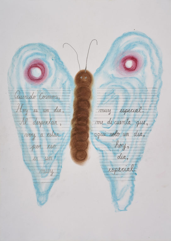 Eduardo Navarro: Drawings (Fig. 488)