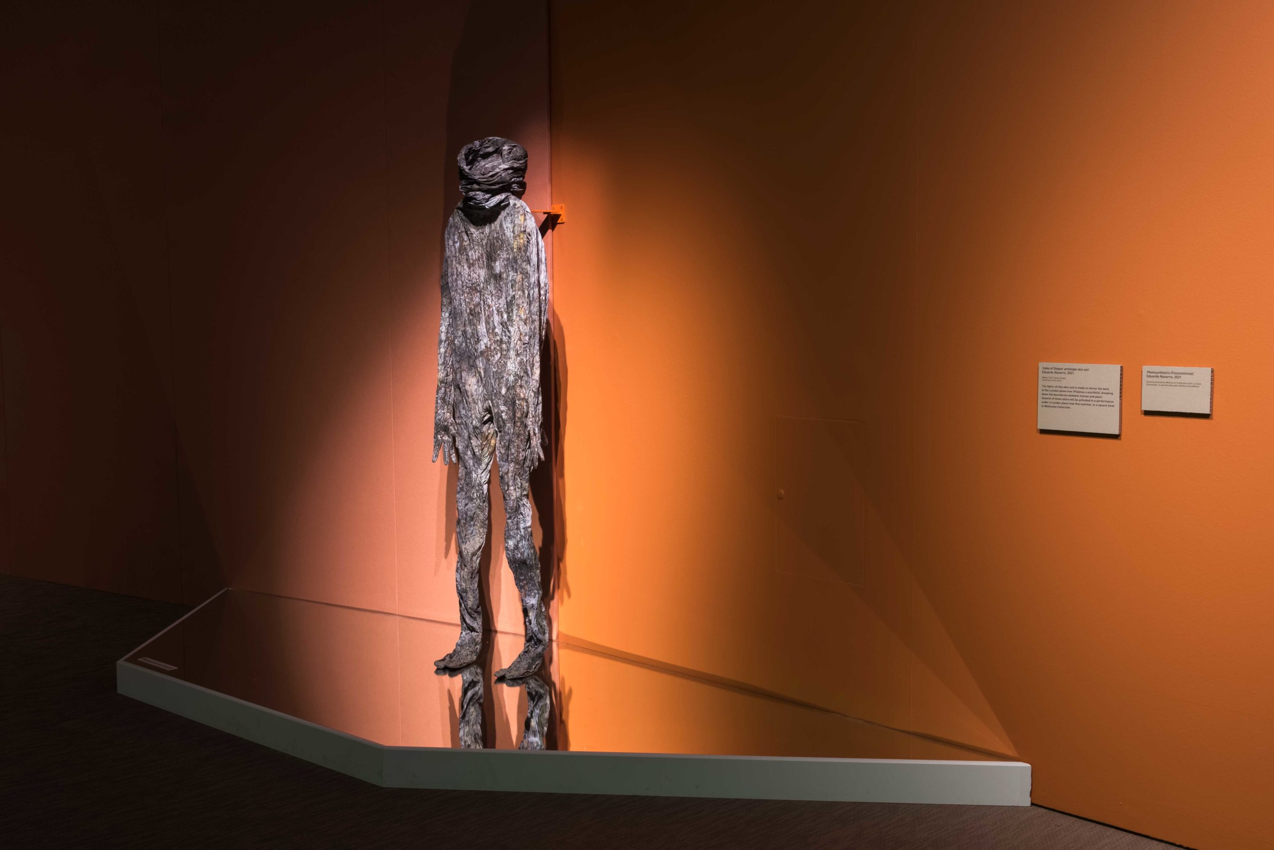 Eduardo Navarro: photosynthetics (Fig. 28)