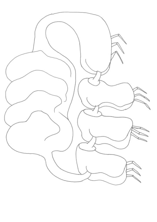 Eduardo Navarro: Drawings (Fig. 364)