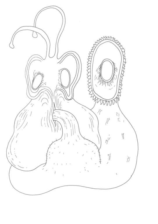 Eduardo Navarro: Drawings (Fig. 88)