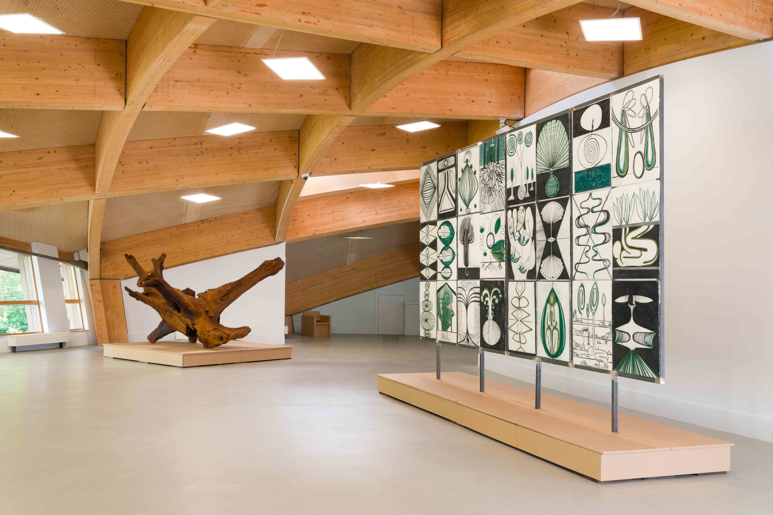 Eduardo Navarro: photosynthetics (Fig. 30)