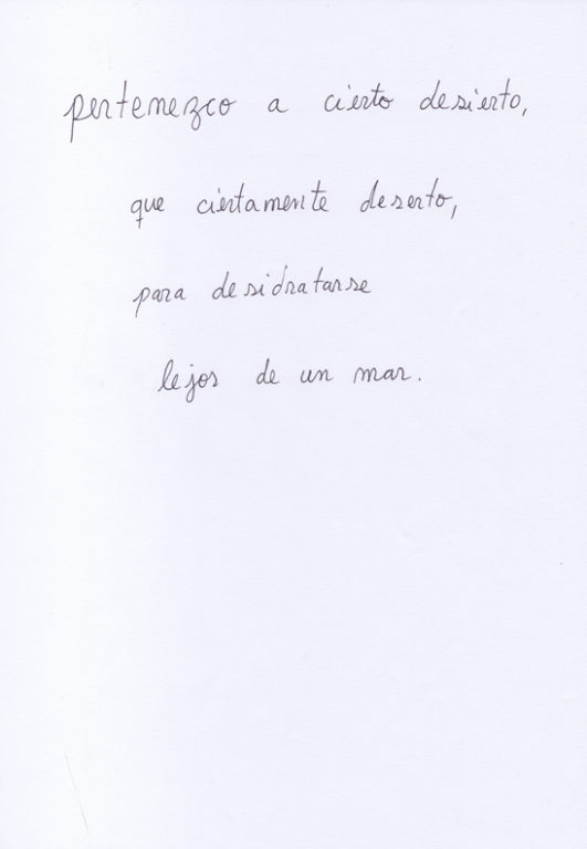 Eduardo Navarro: Drawings (Fig. 125)