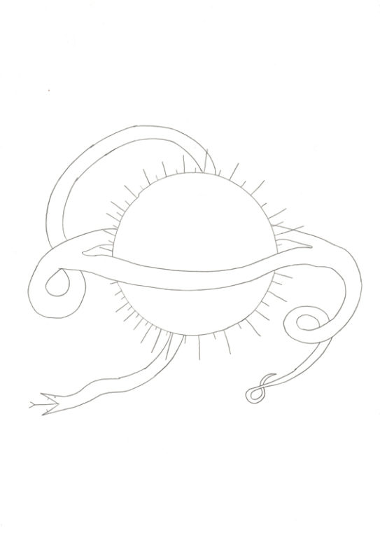 Eduardo Navarro: Drawings (Fig. 157)