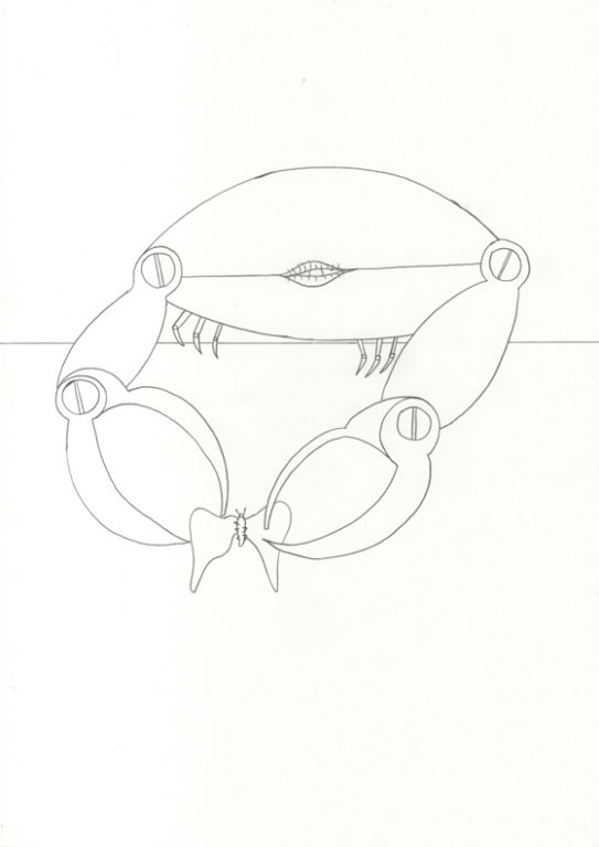 Eduardo Navarro: Drawings (Fig. 630)