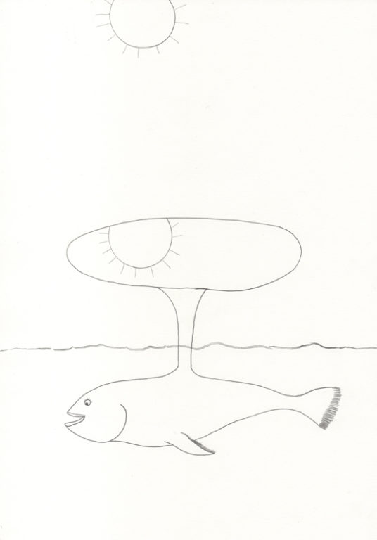 Eduardo Navarro: Drawings (Fig. 253)