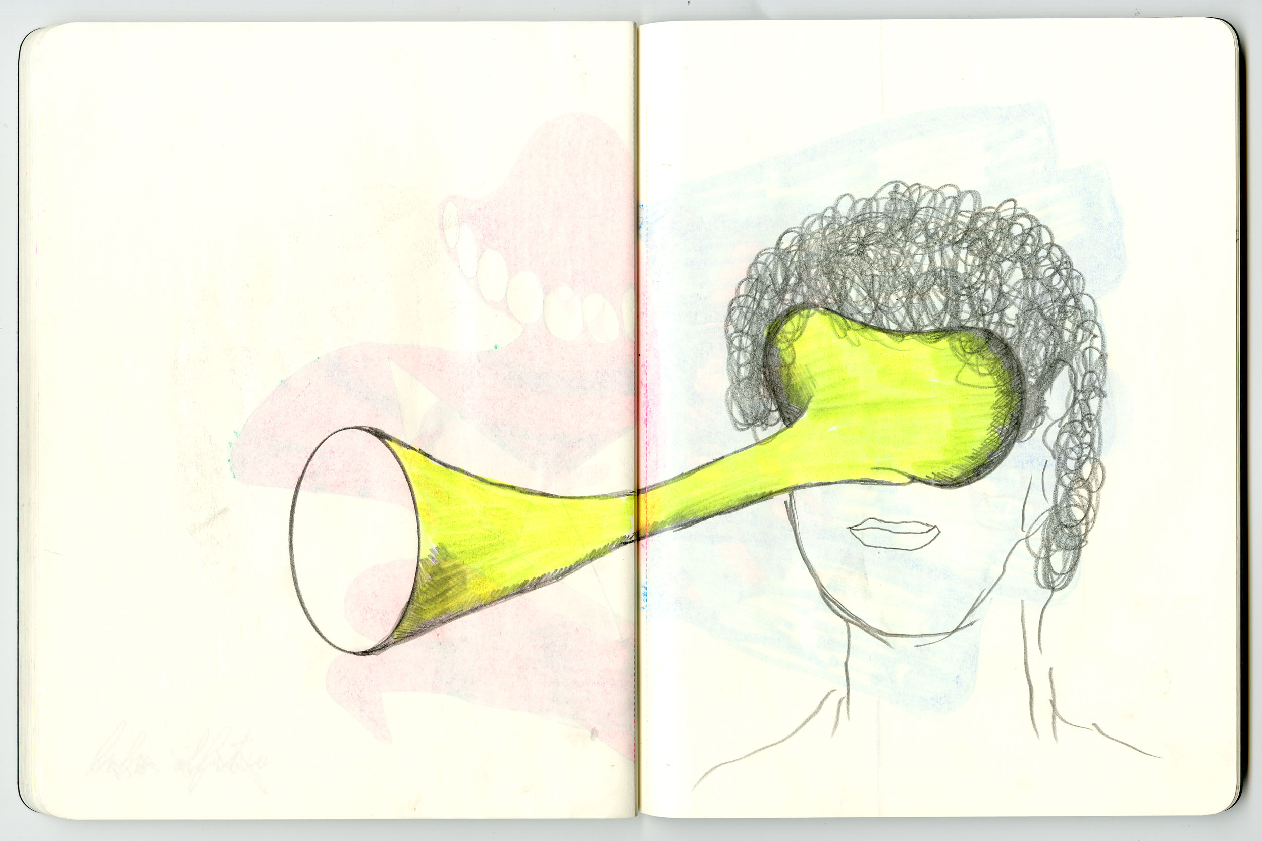 Eduardo Navarro: pollination music ensemble (Fig. 12)