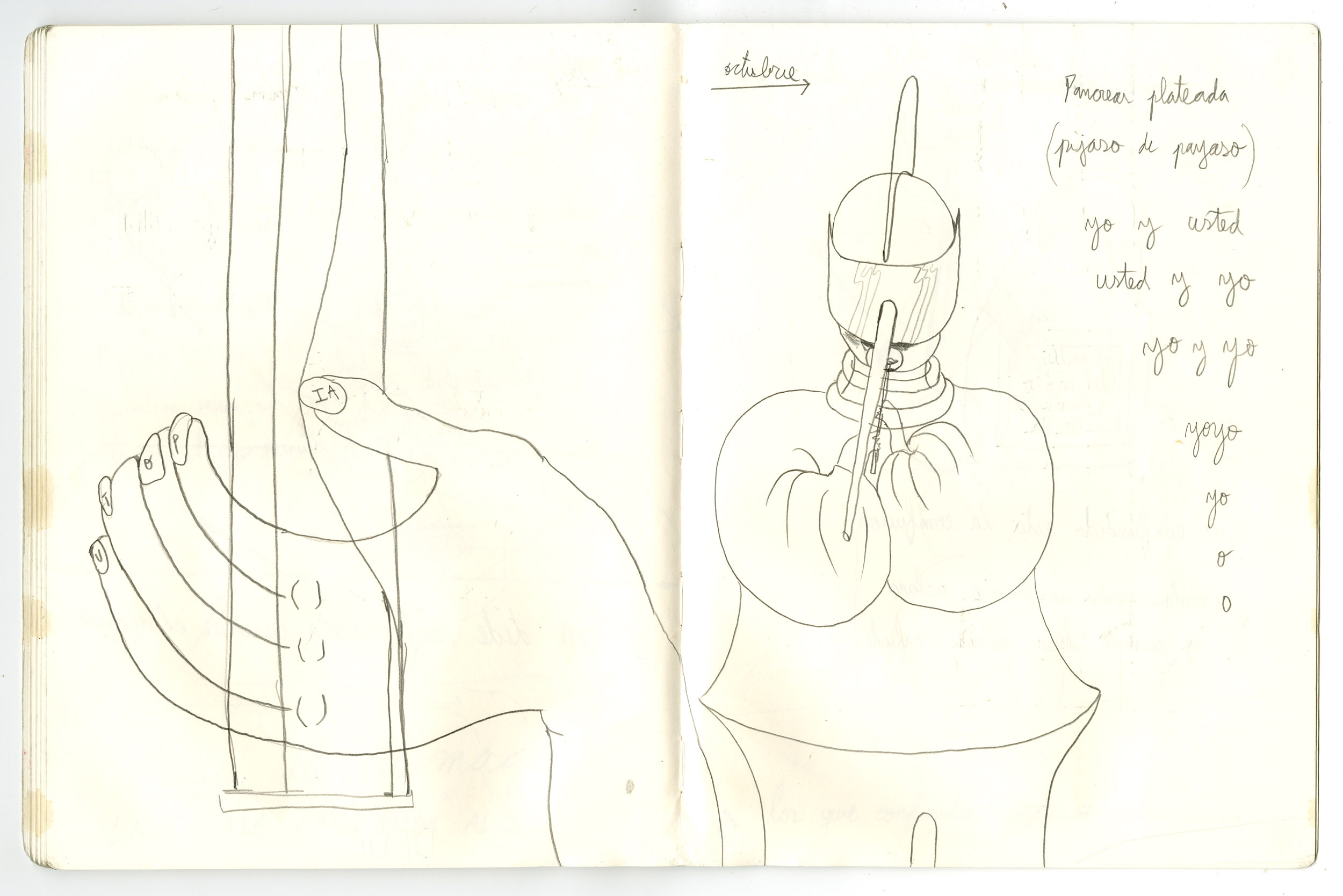 Eduardo Navarro: pollination music ensemble (Fig. 11)