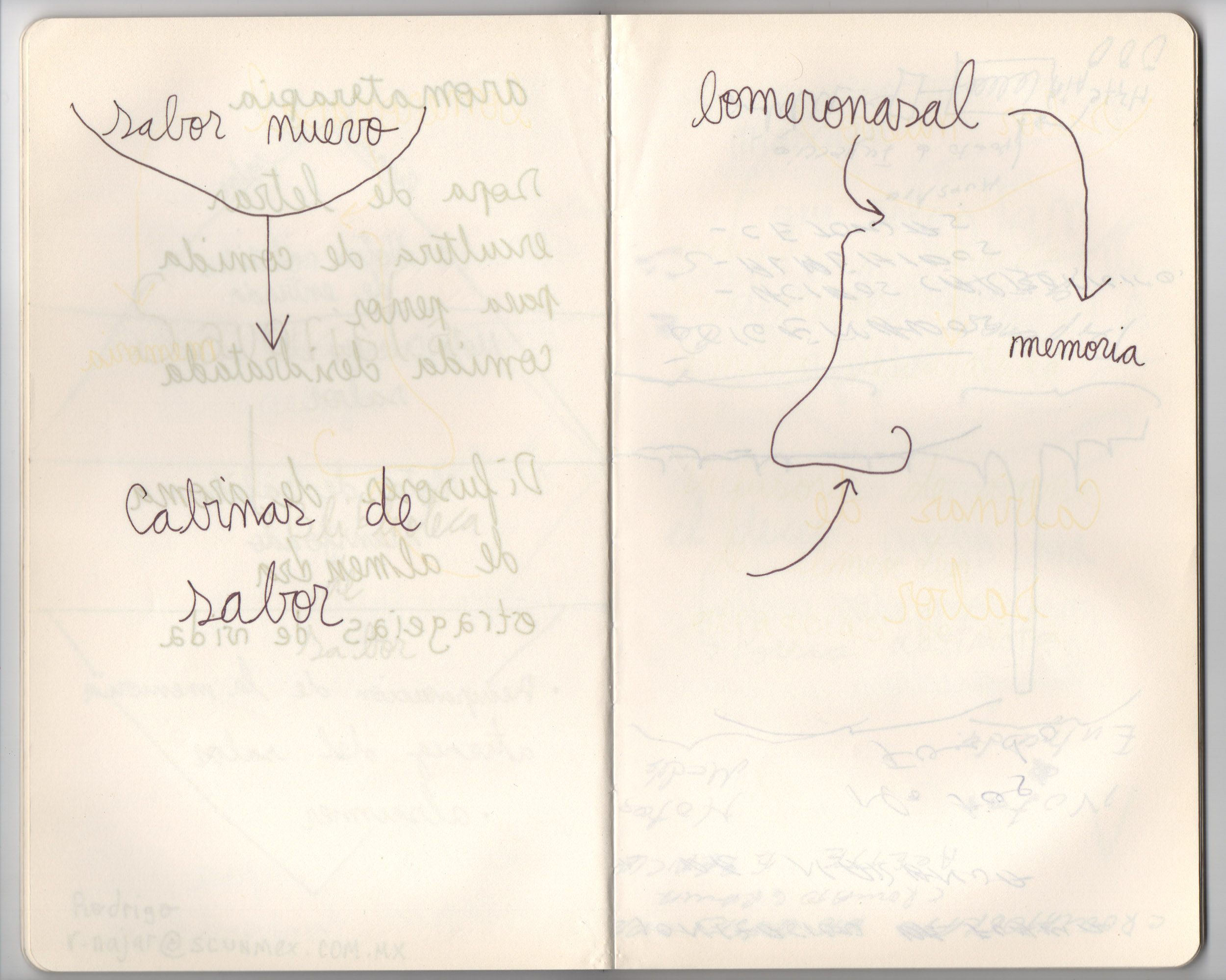 Eduardo Navarro: five invisible haikus (Fig. 19)