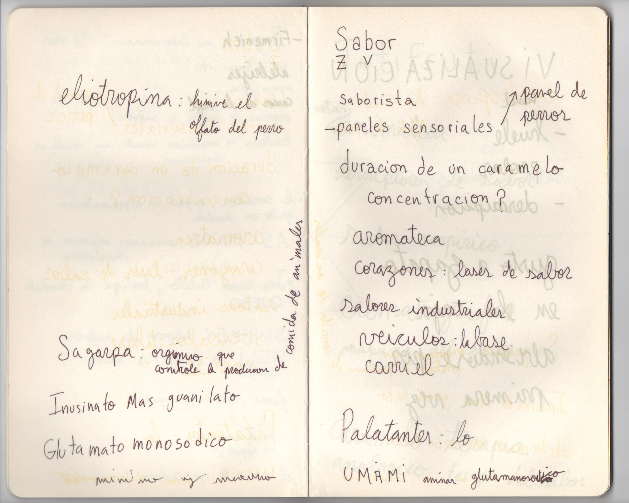 Eduardo Navarro: five invisible haikus (Fig. 20)