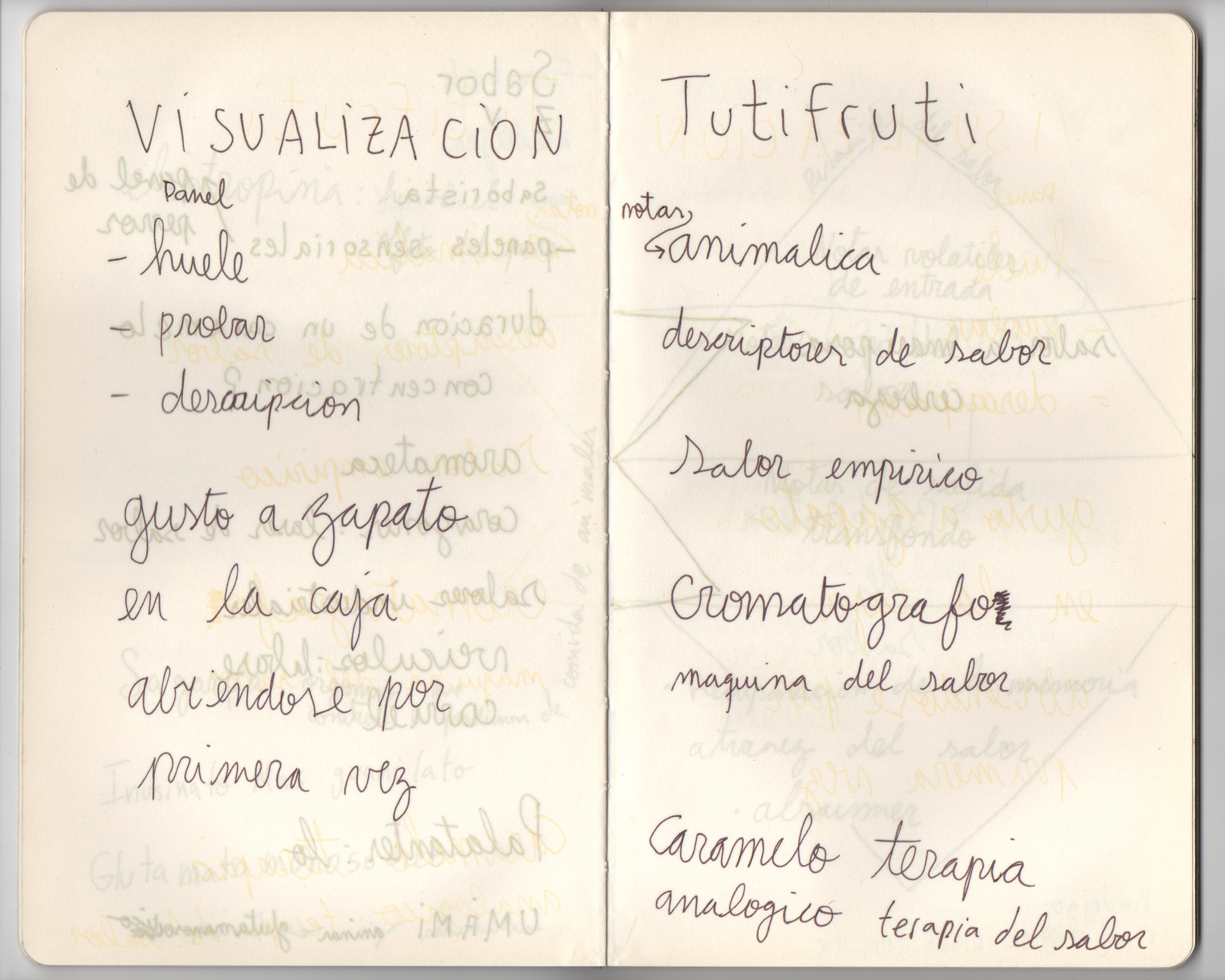 Eduardo Navarro: five invisible haikus (Fig. 15)