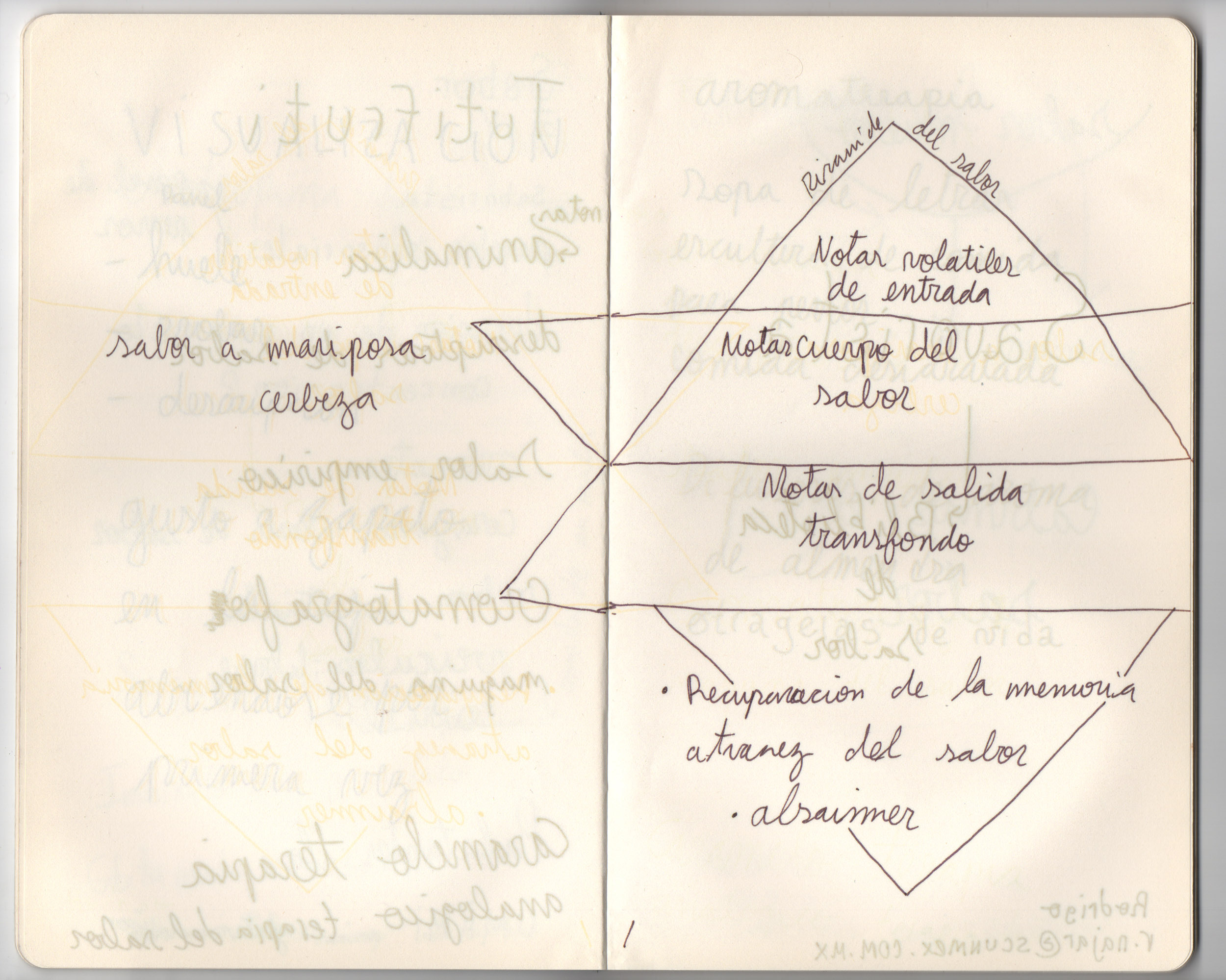 Eduardo Navarro: five invisible haikus (Fig. 14)