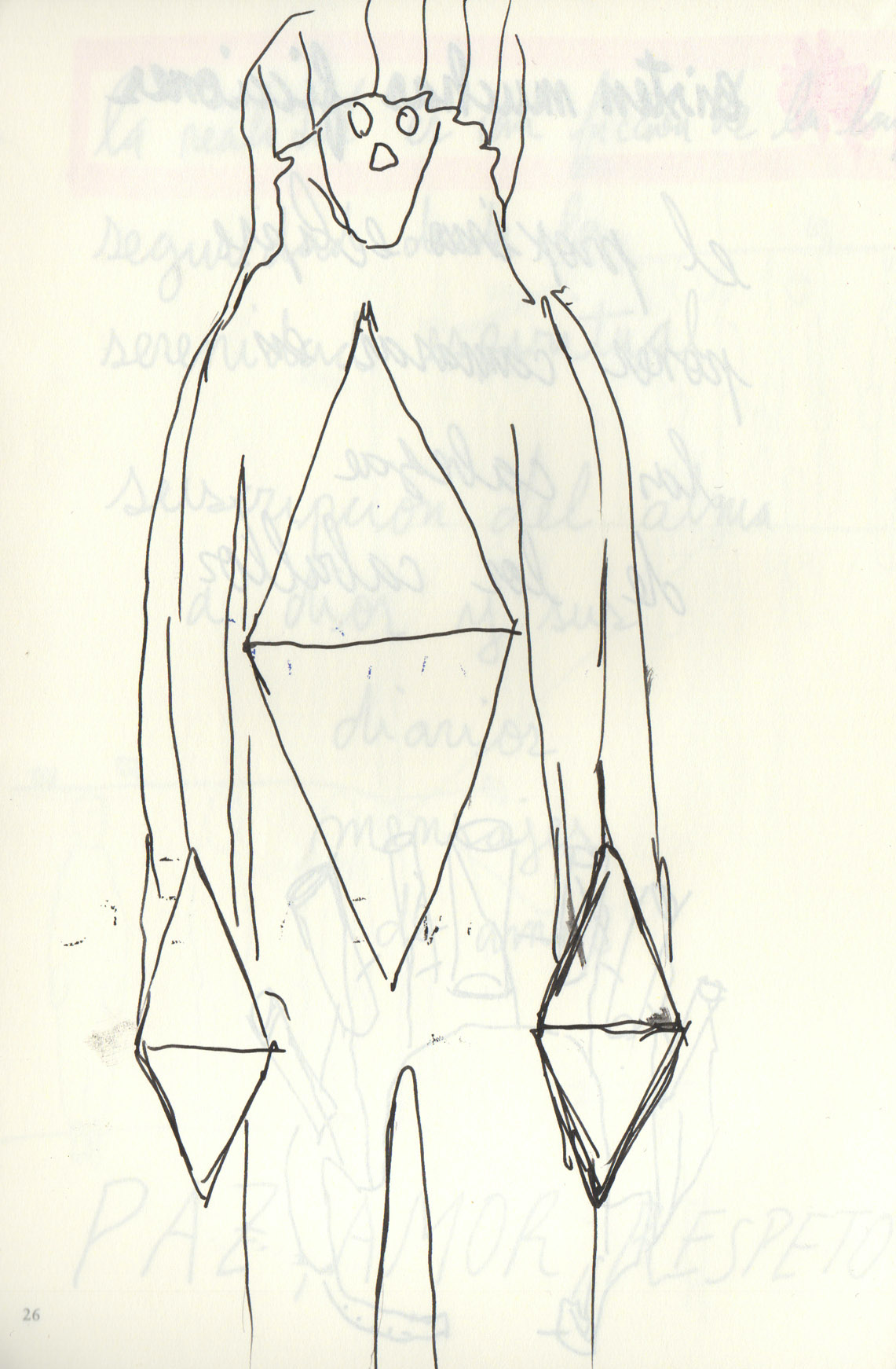 Eduardo Navarro: in collaboration with the sun (Fig. 47)