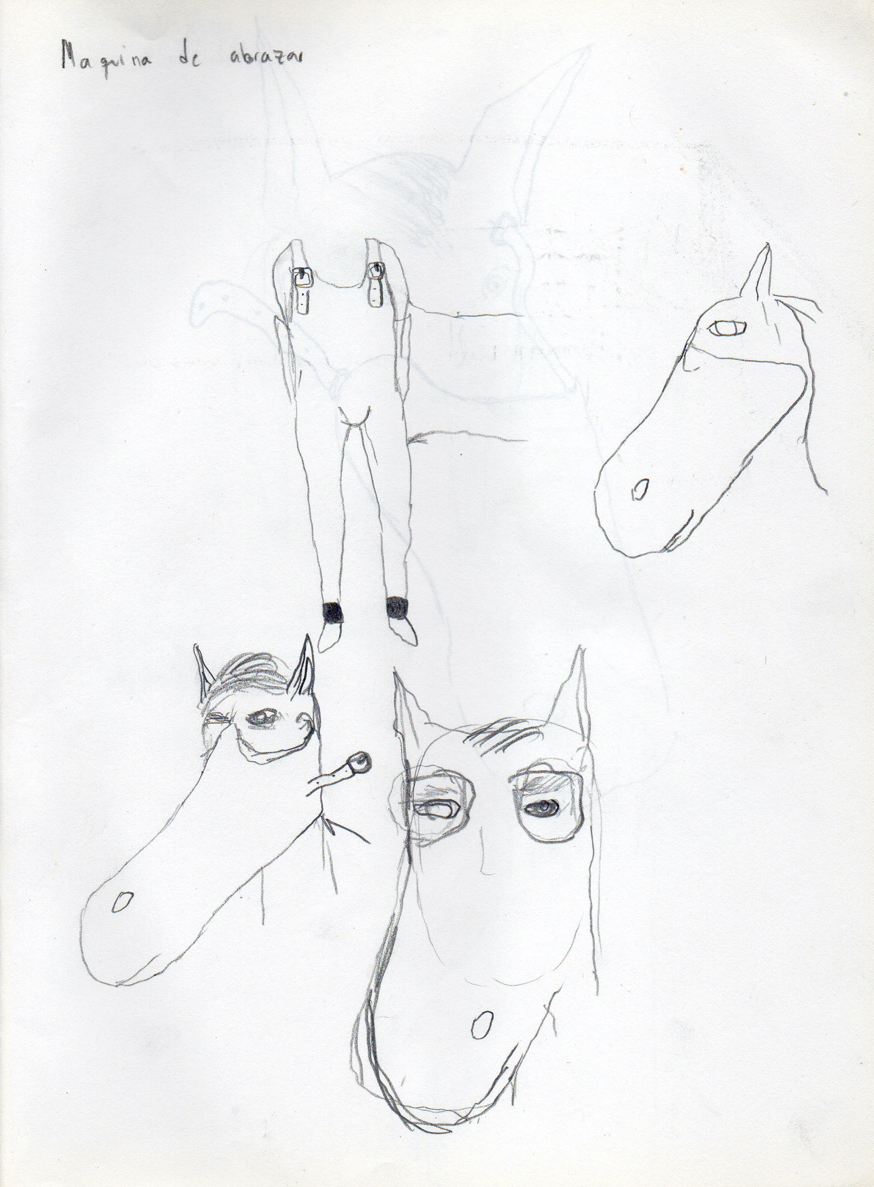 Eduardo Navarro: horses don’t lie (Fig. 19)