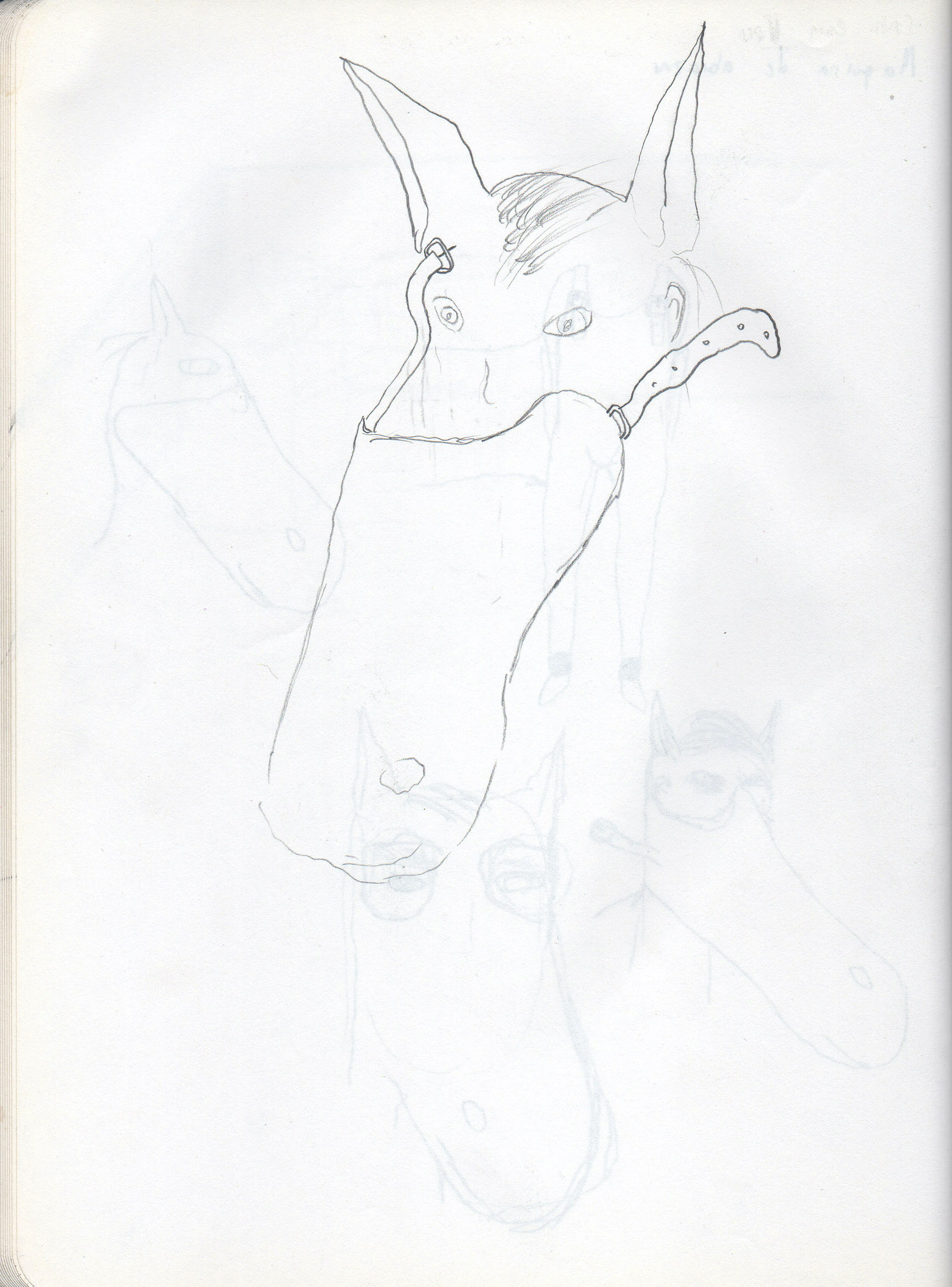 Eduardo Navarro: horses don’t lie (Fig. 18)