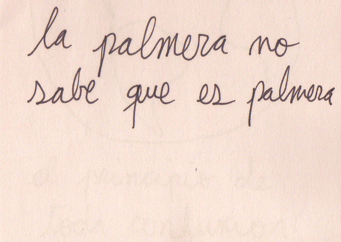 Eduardo Navarro: sound mirror (Fig. 24)