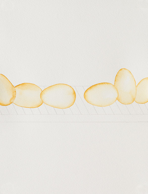 Eduardo Navarro: Drawings (Fig. 447)