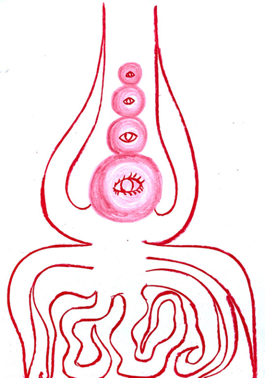 Eduardo Navarro: Drawings (Fig. 327)