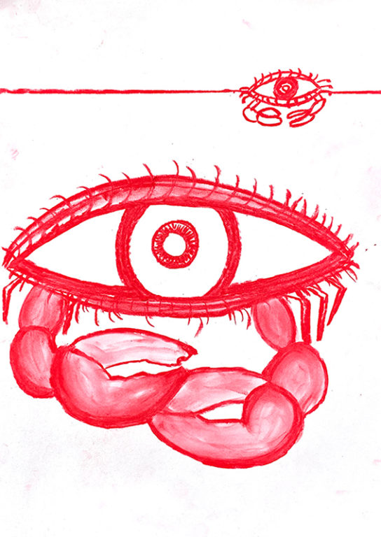 Eduardo Navarro: Drawings (Fig. 496)