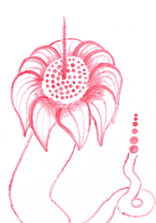 Eduardo Navarro: Drawings (Fig. 680)