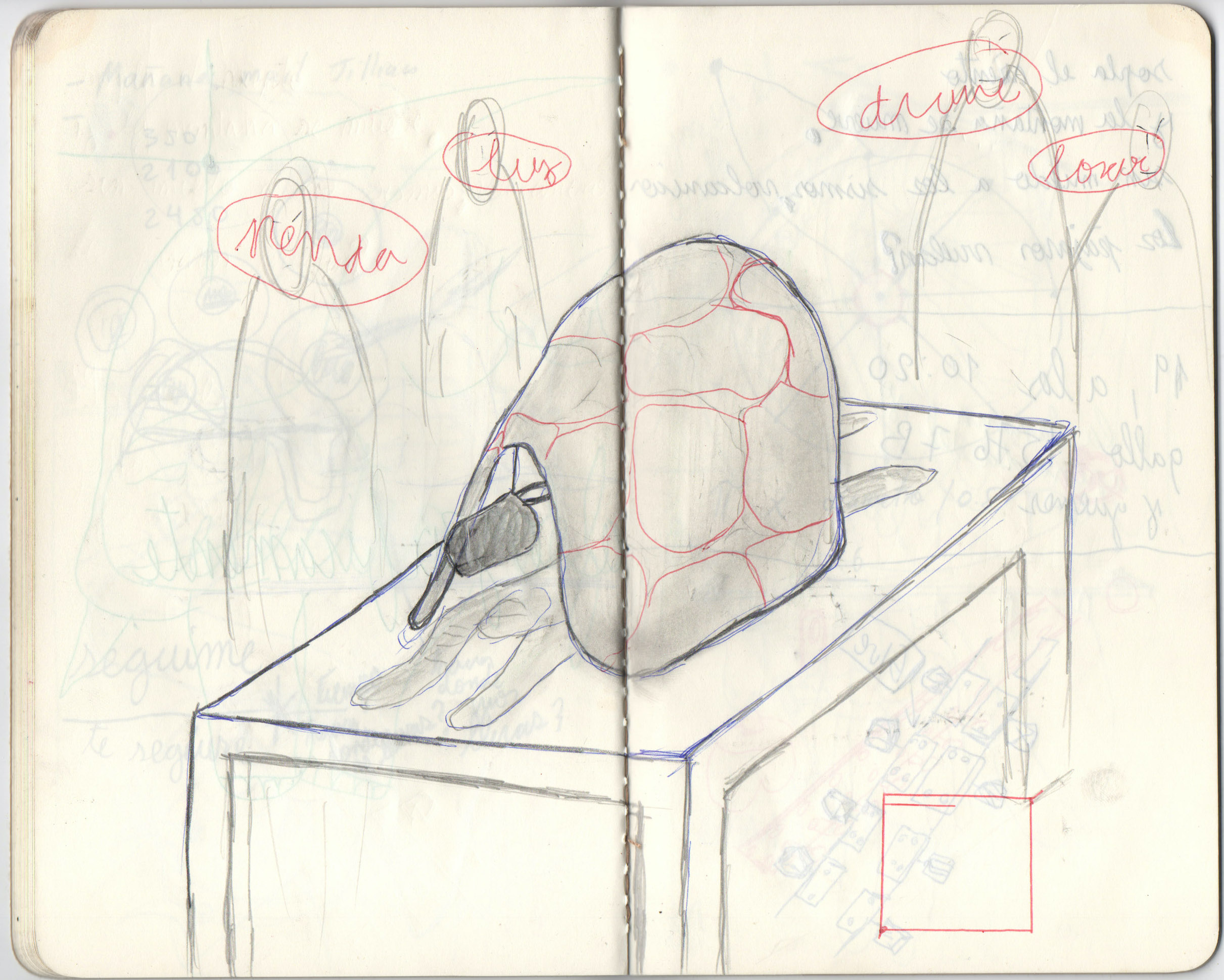 Eduardo Navarro: timeless alex (Fig. 12)