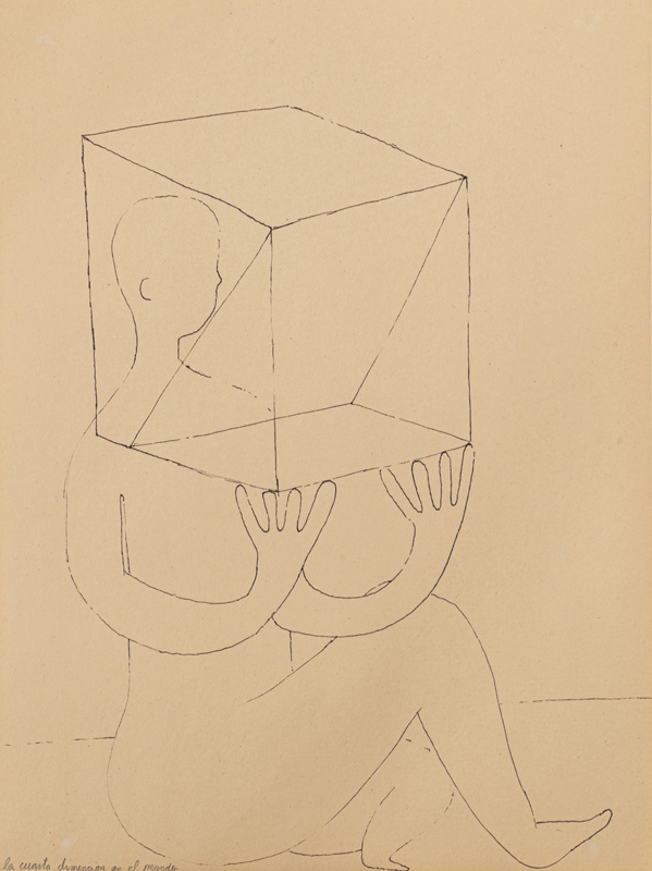 Eduardo Navarro: in collaboration with the sun (Fig. 41)