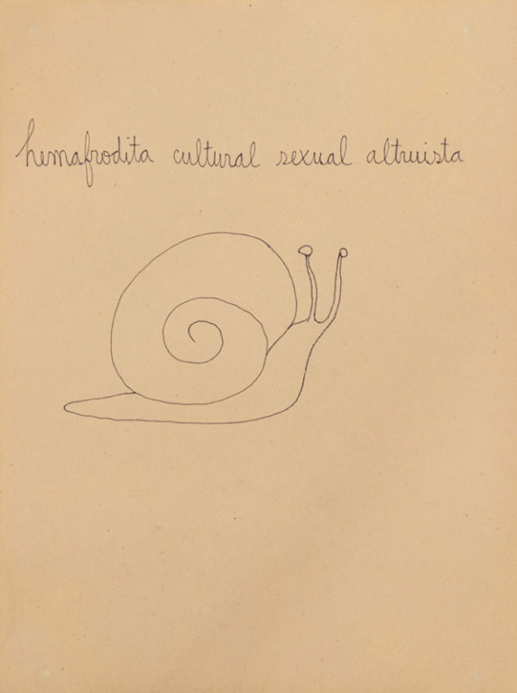 Eduardo Navarro: Drawings (Fig. 641)